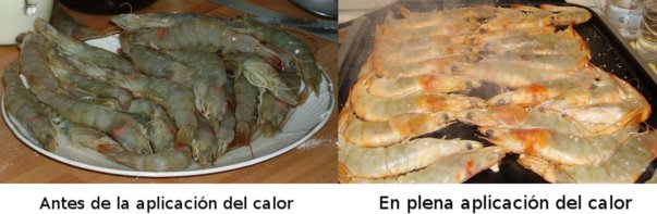 Foto de langostinos